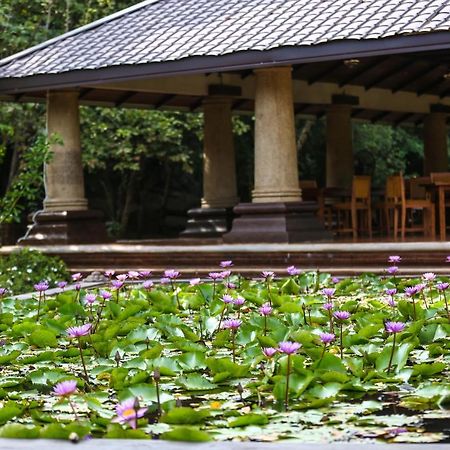 Kaveri Resort Sigiriya Exteriér fotografie