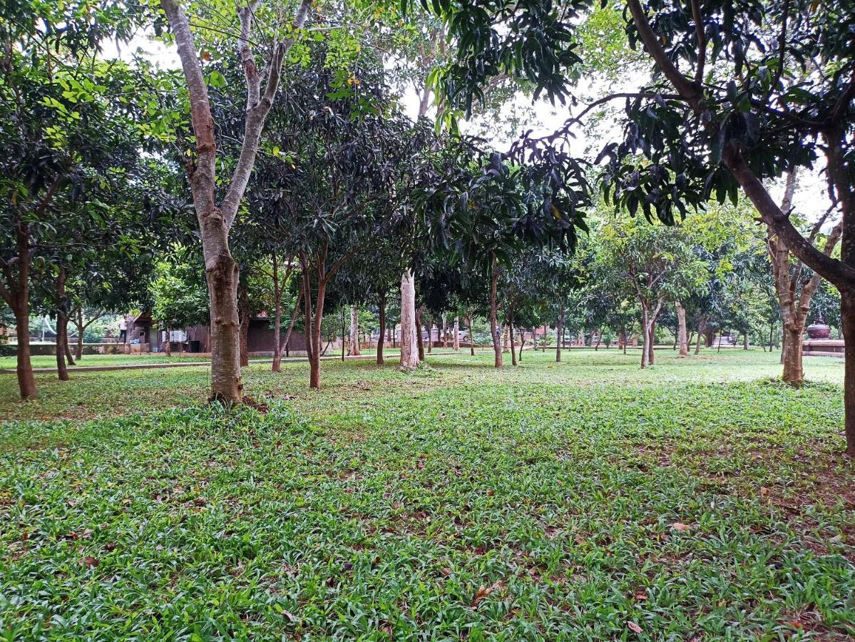 Kaveri Resort Sigiriya Exteriér fotografie